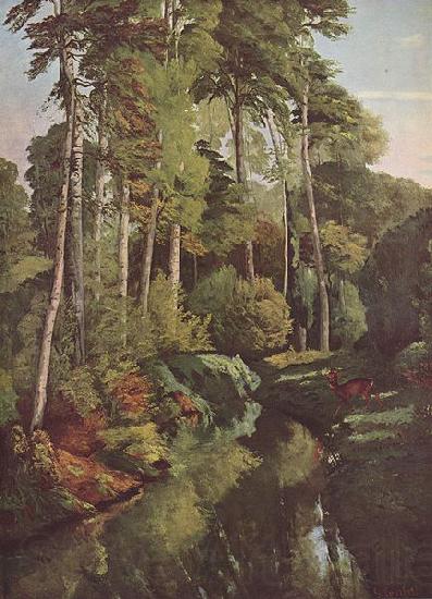 Gustave Courbet Waldbach mit Rehen Spain oil painting art